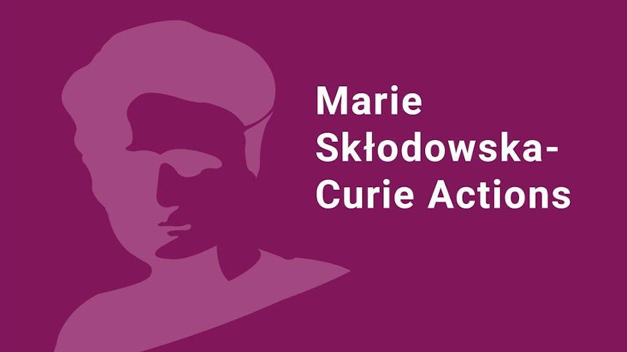 Marie Skłodowska-Curie Staff Exchanges: una oportunidad para la internacionalización de la investigación